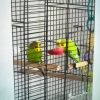 Vermist: Vogels Grasparkieten 2x – registratienummer 58020