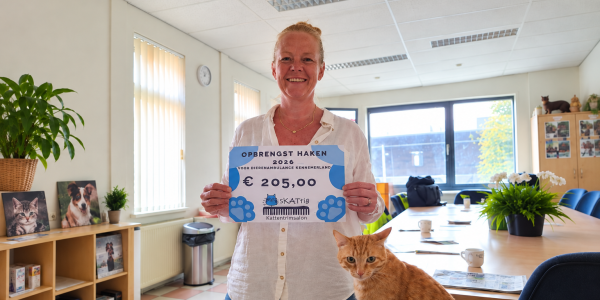 Skattige donatie